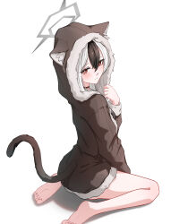 1girl absurdres animal_ear_fluff animal_ears barefoot black_hair blue_archive blush bright_pupils brown_coat cat_ears cat_girl cat_tail closed_mouth coat commentary full_body fur-trimmed_coat fur_trim grey_halo halo hand_up highres hit_by_hit hood hood_up kayoko_(blue_archive) long_sleeves looking_at_viewer multicolored_hair red_eyes simple_background sitting solo tail two-tone_hair white_background white_hair