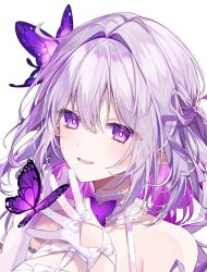 Rule 34 | 1girl, bare shoulders, bow, bright pupils, bug, butterfly, castorice (honkai: star rail), glove bow, glove cutout, gloves, grey hair, hair between eyes, honkai: star rail, honkai (series), insect, looking at viewer, multicolored hair, open mouth, pointy ears, purple butterfly, purple eyes, purple hair, simple background, smile, solo, taya oco, upper body, white background, white bow, white gloves, white pupils