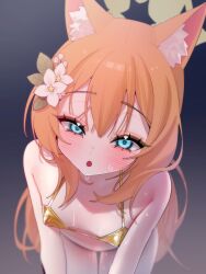 1girl :o absurdres agnamore all_fours animal_ear_fluff animal_ears bare_shoulders bent_over bikini blue_archive blue_eyes blush breasts cat_ears flower gold_bikini grey_background hair_flower hair_ornament halo highres huge_filesize loli long_hair looking_at_viewer mari_(blue_archive) open_mouth orange_hair small_breasts solo sweat swimsuit white_flower yellow_halo