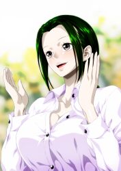 Rule 34 | 1girl, green hair, makino (one piece), nel-zel formula, one piece