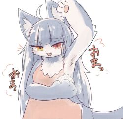 1girl animal_ear_fluff arm_up armpit_onigiri armpits blush cat_girl dress food furry furry_female heterochromia japan_air_self-defense_force_omaezaki_sub-base long_hair looking_at_viewer omaneko onigiri open_mouth pawpads ragu_(apricolor) red_dress simple_background solo translation_request very_long_hair white_background