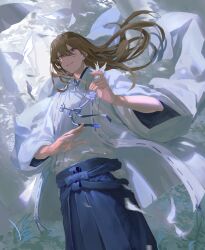 1boy animal bird blue_hakama blue_ribbon brown_eyes brown_hair bug butterfly closed_mouth coat commentary_request cowboy_shot floating_hair grass hair_between_eyes hakama hands_up highres holding holding_animal holding_bird ingenkita insect japanese_clothes long_hair long_sleeves looking_at_viewer male_focus original outdoors ribbon smile solo white_bird white_butterfly white_coat wide_sleeves