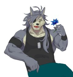 1boy absurdres alexyz_kun animal_ears armband bara biceps black_tank_top collarbone commentary dog_boy dog_ears dog_nose dog_tags english_commentary fangs flower furry furry_male green_pants grey_fur grey_hair highres holding holding_flower jewelry kouya_aotsuki looking_to_the_side male_focus morenatsu muscular muscular_male necklace open_mouth pants sitting smile tank_top white_background wristband