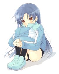 Rule 34 | 1girl, bad id, bad pixiv id, black legwear, blue hair, blush, brown eyes, buruma, female focus, full body, hugging own legs, idolmaster, idolmaster (classic), jacket, kisaragi chihaya, knees to chest, komi zumiko, legs together, long hair, shoes, simple background, sitting, solo, track jacket, under shirt, white background