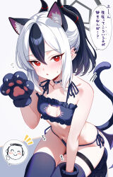 1girl absurdres alternate_costume animal_ear_fluff animal_ears animal_hands bare_shoulders black_bra black_gloves black_hair black_horns black_thighhighs blue_archive blush bra breasts breasts_apart cat_cutout cat_ear_panties cat_ears cat_lingerie cat_tail cleavage_cutout clothing_cutout collarbone commentary_request doodle_sensei_(blue_archive) frilled_bra frills gloves hair_between_eyes hand_up highres horns karaage_(xxxmido02) kayoko_(blue_archive) kemonomimi_mode kneeling long_hair looking_at_viewer meme_attire multicolored_hair navel notice_lines out_of_frame panties parted_lips paw_gloves red_eyes sensei_(blue_archive) side-tie_panties small_breasts solo stomach tail thighhighs translation_request underwear white_hair