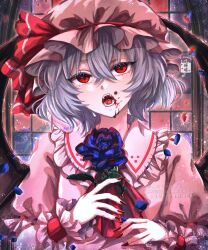 1girl ascot bat_wings blood blood_on_face blue_flower blue_hair blue_rose brooch collared_shirt commentary_request fangs fingernails flower frilled_shirt_collar frills hair_between_eyes hat hat_ribbon highres holding holding_flower indoors jewelry long_fingernails mob_cap open_mouth pink_hat pink_shirt puffy_short_sleeves puffy_sleeves red_ascot red_eyes red_nails red_ribbon remilia_scarlet ribbon rose shirt short_hair short_sleeves solo soukou_(artist) touhou twitter_username upper_body window wings wrist_cuffs