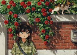 1girl animal black_eyes braid brick_wall bright_pupils brown_hair cat collared_shirt flower green_shirt medium_hair original outdoors parted_lips plaid_clothes plaid_shirt red_flower red_rose rose shirt short_sleeves sihyun25 solo twin_braids upper_body white_pupils