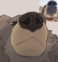 1boy animal_ears bara bear_boy bear_ears ben_bigger brown_fur close-up closed_mouth commentary derivative_work english_commentary furry furry_male highres looking_at_viewer male_focus photo-referenced reference_inset tusskor zenless_zone_zero