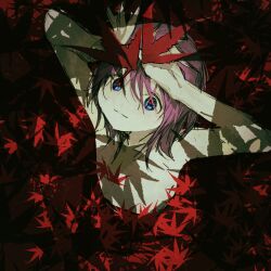 Rule 34 | 1girl, blue eyes, cerevevisiae, closed mouth, highres, leaf, long sleeves, looking at viewer, maple leaf, original, purple hair, short hair, solo, upper body
