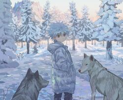 Rule 34 | 1boy, alternate costume, animal, black pants, closed mouth, coat, commentary, day, goodkids 1, hand in pocket, hood, hood down, hooded coat, hunter x hunter, killua zoldyck, long sleeves, looking at viewer, looking back, male focus, outdoors, pants, snow, spiked hair, standing, symbol-only commentary, tree, twitter username, winter, wolf
