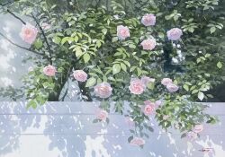 abe_toshiyuki commentary_request dappled_sunlight day flower highres leaf no_humans original painting_(medium) pink_flower pink_rose plant plant_focus rose scenery shadow still_life sunlight traditional_media watercolor_(medium)