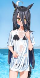 1girl ahoge animal_ears bikini bikini_under_clothes black_hair blue_sky day hair_between_eyes highres horse_ears horse_girl horse_tail kuronosu_(yamada1230) long_hair long_hair_between_eyes looking_at_viewer manhattan_cafe_(umamusume) multicolored_hair ocean outdoors shirt sky solo swimsuit tail two-tone_hair umamusume wet wet_clothes wet_shirt white_hair white_shirt yellow_eyes
