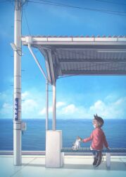 1girl 385az absurdres animal_ears blue_sky blush calico_cat cat cellphone cloud cloudy_sky commentary_request day hat highres horse_ears horse_girl horse_tail jacket narita_taishin_(umamusume) ocean outdoors petting phone profile red_jacket short_hair sitting sky smartphone smile solo tail train_station_platform umamusume wide_shot