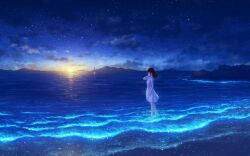Rule 34 | 1girl, absurdres, arm at side, arm up, au ito, barefoot, beach, bioluminescence, black hair, closed mouth, cloud, commentary request, dress, dusk, floating hair, from side, glowing, highres, hill, horizon, lighthouse, long hair, night, night sky, ocean, original, plankton, reflection, reflective water, rock, scenery, short sleeves, sky, smile, solo, sun, sunset, wading, walking, waves, white dress, wide shot