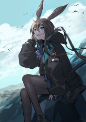 absurdres amiya_(arknights) animal_ears arknights bird black_jacket brown_hair cloud cloudy_sky highres hood hooded_jacket jacket maki-no messy_hair outdoors rabbit_ears sitting sky smile
