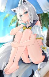 1girl absurdres animal_ears bare_shoulders beach_umbrella bikini blue_eyes blue_nails blue_sailor_collar blush braid fox_ears fox_girl fox_tail frilled_bikini frills highres hololive knees_up looking_at_viewer nail_polish outdoors sailor_collar scrunchie shirakami_fubuki solo st-147 swimsuit tail umbrella white_bikini white_hair wrist_scrunchie