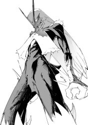 atie1225 blaziken claws closed_mouth creatures_(company) full_body game_freak gen_3_pokemon greyscale highres looking_at_viewer monochrome nintendo pokemon pokemon_(creature) simple_background solo standing white_background