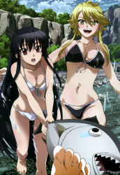 10s 1boy 2girls :d :o absurdres akame_(akame_ga_kill!) akame_ga_kill! bare_shoulders barefoot bikini black_bikini black_hair blonde_hair blue_sky blush breasts cleavage cloud day feet fish front-tie_top highleg highleg_bikini highres hitting large_breasts leone_(akame_ga_kill!) long_hair matching_hair/eyes midriff mountain multiple_girls nakamura_kazuhisa navel nyantype official_art open_mouth pov red_eyes scan sharp_teeth short_hair_with_long_locks skindentation sky smile splashing swimsuit tears teeth toes tree very_long_hair water white_bikini yellow_eyes