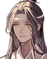 1boy absurdres black_hair chinese_clothes closed_mouth eyelashes hanfu headband highres lan_wangji long_hair looking_to_the_side male_focus modao_zushi parted_bangs portrait sidelocks signature simple_background solo topknot tsubame-shi_(tubame) white_background white_hanfu white_headband xiao_guan_(headdress) yellow_eyes