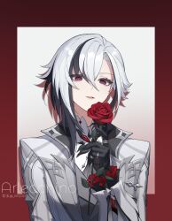 Rule 34 | 1girl, arlecchino (genshin impact), black eyes, black hair, character name, coat, flower, genshin impact, grey shirt, hair between eyes, highres, holding, holding flower, looking at viewer, multicolored hair, open clothes, open coat, parted lips, red flower, red rose, rj (lingshih10), rose, shirt, solo, streaked hair, upper body, white coat, white hair