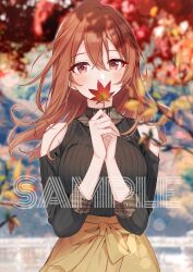 Rule 34 | 1girl, autumn, autumn leaves, bare shoulders, black shirt, blurry, blurry background, blush, bow, breasts, brown eyes, brown hair, clothing cutout, commentary request, cowboy shot, hair between eyes, hands up, highres, holding, holding leaf, kohinata iroha (imouuzai), large breasts, leaf, long hair, looking at viewer, outdoors, own hands together, ribbed shirt, shirt, shoulder cutout, skirt, solo, standing, tomari (veryberry00), tomodachi no imouto ga ore ni dake uzai, tree, yellow bow, yellow skirt