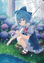 1girl black_shoes blue_bow blue_dress blue_eyes blue_hair blush bow bow_legwear cirno cirno_day collared_shirt commentary_request dress flower full_body god_mang grass hair_bow holding holding_umbrella looking_at_viewer mary_janes neck_ribbon outdoors pinafore_dress puffy_short_sleeves puffy_sleeves rain red_bow red_ribbon ribbon shirt shoes short_hair short_sleeves sleeveless sleeveless_dress socks solo squatting touhou transparent transparent_umbrella tree umbrella water white_shirt white_socks