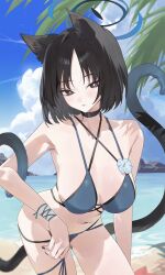 1girl animal_ears beach bikini black_eyes black_hair blue_archive blue_bikini blue_halo blue_sky blush breasts bright_pupils cat_ears cat_girl cat_tail cloud halo highres kaa-san kikyou_(blue_archive) kikyou_(swimsuit)_(blue_archive) large_breasts layered_bikini looking_at_viewer multi-strapped_bikini_bottom multi-strapped_bikini_top multiple_tails navel ocean short_hair sky solo swimsuit tail thighs white_pupils