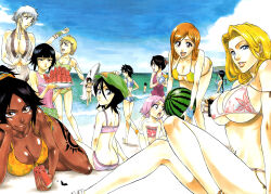 Rule 34 | 6+girls, arisawa tatsuki, ass, beach, bikini, black hair, bleach, blonde hair, blue sky, breasts, butt crack, dark-skinned female, dark skin, food, fruit, grey hair, highres, hinamori momo, huge breasts, inoue orihime, ise nanao, kotetsu isane, kotetsu kiyone, kubo tite, kuchiki rukia, kurotsuchi nemu, kusajishi yachiru, looking at viewer, matsumoto rangiku, multiple girls, non-web source, official art, one-piece swimsuit, open mouth, orange hair, pink hair, sarugaki hiyori, shiba kuukaku, shihouin yoruichi, sky, smile, sui-feng, swimsuit, thigh gap, unohana retsu, watermark, watermelon, watermelon slice