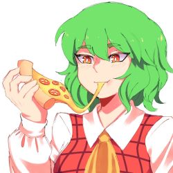 1girl ascot cheese cheese_trail collared_shirt eating food green_hair hanaarts holding holding_food holding_pizza kazami_yuuka long_sleeves pizza pizza_slice plaid_clothes plaid_vest portrait red_eyes shirt short_hair solo touhou vest white_background