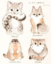 :3 animal animal_focus baby_animal biting_own_tail commentary_request corsac_fox fox highres konatsu_tunacan looking_at_viewer marmot no_humans original pallas&#039;s_cat simple_background snow_leopard tail traditional_media translation_request