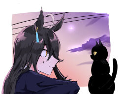 Rule 34 | 1girl, ahoge, black cat, black hair, cat, closed mouth, cloud, dusk, ear ornament, ear tag, earrings, gentil uma suki, grey hair, hair over one eye, highres, jewelry, long bangs, long hair, long sleeves, looking at animal, manhattan cafe (umamusume), multicolored hair, single earring, smile, solo, star (sky), tail, tail wagging, umamusume, yellow eyes
