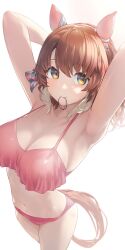 1girl absurdres animal_ears armpits arms_behind_head bikini breasts brown_hair dantsu_flame_(umamusume) ear_covers from_above highres horse_ears horse_girl horse_tail large_breasts looking_at_viewer nabe_puyo red_bikini rubber_band short_hair simple_background solo swimsuit tail umamusume white_background