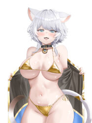 1girl absurdres adult_aongly animal_ear_fluff animal_ears bikini black_choker black_jacket blue_eyes breasts cat_ears cat_girl cat_tail choker cipher_(honkai:_star_rail) commentary cowboy_shot gold_bikini grey_hair highres honkai:_star_rail honkai_(series) jacket large_breasts looking_at_viewer navel open_clothes open_jacket paid_reward_available short_hair_with_long_locks side-tie_bikini_bottom simple_background solo stomach swimsuit tail white_background