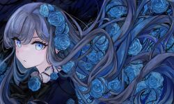 Rule 34 | 1girl, ado (utaite), akari (akariimia), barbed wire, black background, black bow, black bowtie, black shirt, blue brooch, blue eyes, blue flower, blue rose, bow, bowtie, brooch, chando (ado), closed mouth, collared shirt, commentary, flower, flower brooch, frown, grey hair, hair flower, hair ornament, halftone, highres, jewelry, long hair, looking at viewer, portrait, rose, shirt, single hair intake, swept bangs, tsurime, utaite, very long hair, wavy hair
