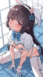 1girl alternate_costume animal_ears bikini black_hair blue_archive blue_bikini blue_ribbon blunt_bangs blurry blush braid breasts commentary_request depth_of_field embarrassed fake_animal_ears fake_tail gloves grey_halo halo heart_pasties highleg highleg_bikini highres indoors jfjf long_hair looking_at_viewer meme_attire miyu_(blue_archive) neck_ribbon pasties puffy_short_sleeves puffy_sleeves rabbit_ears rabbit_tail red_eyes reverse_bunnysuit reverse_outfit ribbon short_sleeves sitting small_breasts solo swimsuit tail thighhighs twin_braids wariza white_gloves white_thighhighs wrist_cuffs