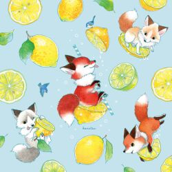 Rule 34 | animal, animal focus, bird, blue background, bubble, commentary request, drinking straw, fluffy, food, fox, fruit, grey fur, holding, holding food, holding fruit, konatsu tunacan, leaf, lemon, lemon slice, no humans, orange fur, original, pawpads, simple background, sitting, tongue, tongue out, traditional media, undersized animal