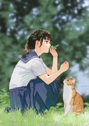 Rule 34 | 1girl, blowing bubbles, blue sailor collar, blue skirt, blurry, blurry background, brown eyes, brown hair, cat, commentary request, grass, holding, mattaku mousuke, orange cat, original, sailor collar, school uniform, serafuku, shirt, skirt, squatting, watermark, watermark grid, white shirt