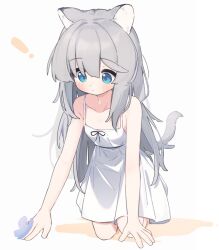 Rule 34 | !, 1girl, all fours, animal ear fluff, animal ears, bare arms, bare shoulders, blue butterfly, blue eyes, blush, bug, butterfly, closed mouth, collarbone, commentary, dress, full body, grey hair, hair between eyes, insect, long hair, original, riya (01214), simple background, sleeveless, sleeveless dress, solo, symbol-only commentary, tail, white background, white dress, wolf ears, wolf girl, wolf tail