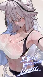 1girl absurdres animal_ear_fluff animal_ears bare_shoulders black_gloves black_hair black_shorts blush breasts cleavage closed_mouth collarbone commentary_request commission commissioner_name gloves grey_background grey_hair hair_between_eyes hati_(deer_chang) highres holding holding_towel large_breasts long_hair looking_at_viewer multicolored_hair navel omoti_(1201208) original ponytail second-party_source shorts signature simple_background skeb_commission solo sports_bra streaked_hair tail thank_you towel two-tone_hair white_sports_bra wolf_ears wolf_tail yellow_eyes
