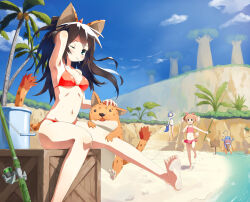 Rule 34 | 3girls, animal ears, balulu alma, barefoot, beach, bikini, black hair, blue eyes, blue sky, bow alma, breasts, bucket, candy, dog ears, dog girl, dog tail, emil chronicle online, food, haniwa (near), highres, long hair, medium breasts, multiple girls, navel, ocean, one eye closed, palm tree, pet, sitting, sky, soles, swimsuit, tail, tree, wooden box