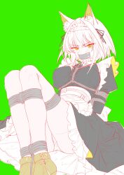1girl absurdres angry animal_ear_fluff animal_ears apron arknights back_bow bdsm belt_collar between_breasts black_dress blush bondage boots bound bound_arms bow breasts breasts_apart cassava_sketch cat_ears collar collared_dress commentary dress flat_color frilled_apron frilled_dress frilled_headwear frills gag green_background green_boots green_eyes hair_intakes hair_ribbon highres improvised_gag juliet_sleeves kal&#039;tsit_(arknights) knees_up large_breasts long_sleeves looking_at_viewer maid_apron maid_day maid_headdress panties puffy_sleeves ribbon shibari short_hair simple_background sketch solo symbol-only_commentary tape tape_gag thighs underwear white_hair white_panties
