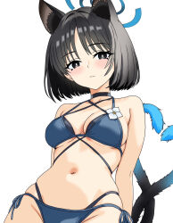 Rule 34 | 1girl, animal ears, bikini, black eyes, black hair, black tail, blue archive, blue bikini, blue halo, blue tail, cat ears, cat girl, cat tail, colored inner animal ears, commentary request, criss-cross straps, gradient tail, halo, highres, kikyou (blue archive), kikyou (swimsuit) (blue archive), layered bikini, multi-strapped bikini bottom, multiple tails, official alternate costume, short hair, simple background, smapy sumataku, solo, swimsuit, tail, two tails, white background