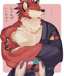 1boy 1other aizawa_(nh_st) arm_out_of_sleeve averting_eyes blush body_fur box box_of_chocolates claws commentary_request crossed_arms furry furry_male gift heart-shaped_box highres holding holding_gift japanese_clothes kimono looking_to_the_side male_focus muscular muscular_male original pink_background pov red_fur simple_background translation_request upper_body valentine wolf_boy yellow_eyes