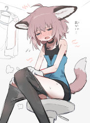 1girl absurdres animal_ears arknights black_choker black_pantyhose blue_eyes blush choker flat_chest fox_ears fox_girl fox_tail gloves half-closed_eyes highres hot material_growth nose_blush open_mouth oripathy_lesion_(arknights) panties pantyhose pantyshot pink_hair short_hair sitting solo sussurro_(arknights) sweat tail underwear undressing unitedunti white_gloves white_panties