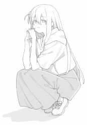 bocchi_the_rock! cube_hair_ornament gotoh_hitori greyscale hair_ornament highres hood hoodie kurosuke_(sk_tsu96) monochrome shoes skirt sleeves_rolled_up sneakers squatting