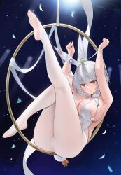 Rule 34 | 1girl, absurdres, aerial hoop, animal ears, arms up, ass, azur lane, bound, bound wrists, brown eyes, carrot, closed mouth, commentary request, fake animal ears, fake tail, feet, hair between eyes, highres, legs up, leotard, looking at viewer, official alternate costume, pantyhose, qing wu, rabbit ears, rabbit tail, short hair, sirius (azur lane), sirius (rabbit of paradise) (azur lane), soles, solo, tail, variant set, white hair, white leotard, white pantyhose