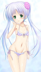 1girl bikini female_focus flower fortune_arterial frilled_bikini frills green_eyes hair_flower hair_ornament highres koromia long_hair lowleg lowleg_bikini navel purple_bikini solo standing swimsuit tougi_shiro twintails white_hair