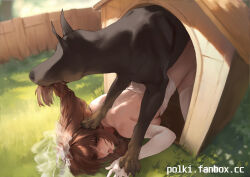 1boy 1girl all_fours belt belt_collar bestiality blurry blurry_background braid braided_ponytail bridal_veil brown_hair collar commentary day dobermann dog elbow_gloves english_commentary fence gloves grabbing_another&#039;s_hair grass highres interspecies kennel_(animal) long_hair original outdoors paid_reward_available polki red_belt red_eyes sex sex_from_behind thighhighs tongue tongue_out top-down_bottom-up veil white_gloves white_thighhighs wooden_fence