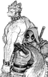 2boys alternate_costume anger_vein animal_ears ass back bara beard belt big_bad_wolf big_bad_wolf_(cosplay) chain chain_leash chest_hair claw_(weapon) clenched_hand closed_mouth collar cosplay couple deadpool deadpool_&amp;_wolverine deadpool_(series) dishing dress facial_hair halloween halloween_costume highres holding hood hood_up large_pectorals leash little_red_riding_hood little_red_riding_hood_(grimm) little_red_riding_hood_(grimm)_(cosplay) looking_at_another male_focus marvel marvel_cinematic_universe mask monochrome multiple_boys muscular muscular_male pants pectorals short_hair sword tail thigh_strap topless_male torn_clothes torn_pants v-shaped_eyebrows weapon weapon_on_back wolf_boy wolf_ears wolf_tail wolverine_(x-men) x-men yaoi