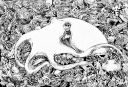 #b7282e abalone absurdres animal_focus artist_name cephalopod_eyes clam conch cone_snail gem giant_clam greyscale highres jellyfish monochrome mussel nautilus_(animal) no_humans octopus original oyster pearl_(gemstone) sand_dollar scallop sea_cucumber sea_pig sea_urchin seashell shell signature skewer slug snail squid starfish suction_cups tentacles umbrella_octopus vampire_octopus venus_comb
